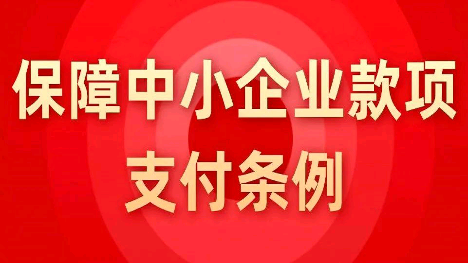 保障中小企业款项支付条例