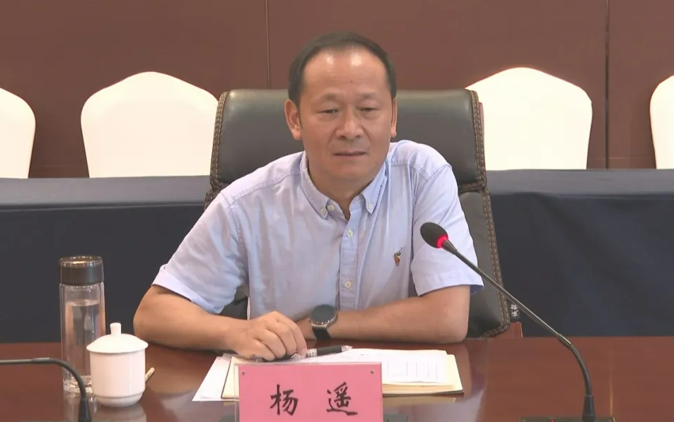 私自阅看有严重政治问题的资料，大搞新型隐性腐败，杨遥被“双开”